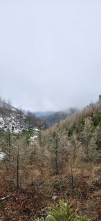 Photo de Markus le long du parcours