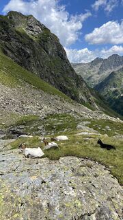 Foto de Benjamin Bachler a lo largo del recorrido