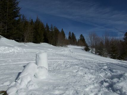 Schneeschuhtrail Schwarzenbühl-Panoramatrail