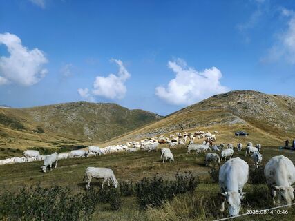 Foto von Sonia Alfieri entlang der Tour