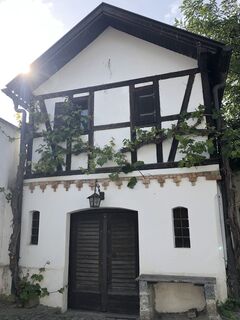 Foto von Mario Maurer entlang der Tour
