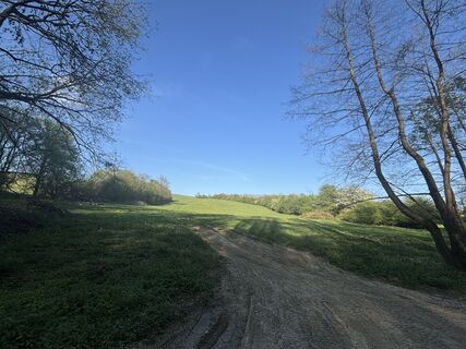 Foto de Reti Alicia a lo largo del recorrido