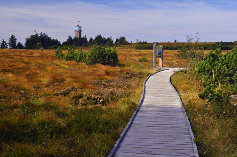 Herbstliche Hornisgrinde