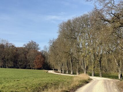 Photo de Norbert Herbig le long du parcours