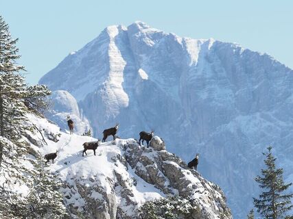 Hochtor.jpg