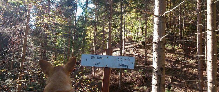 Bio-Rundwanderweg