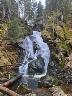 Fotografia z Igor napast na trase