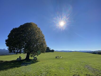 Foto von Sven Krieblin entlang der Tour