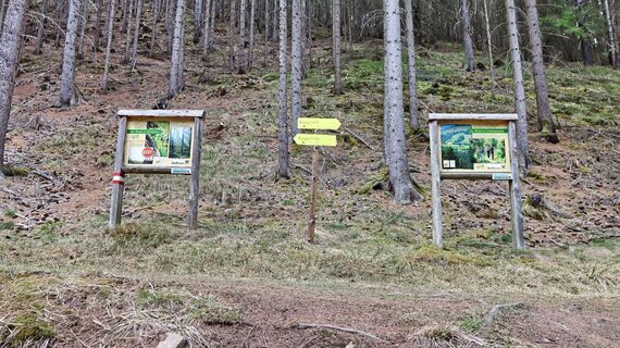 Abzweigung Waldlerhpfad