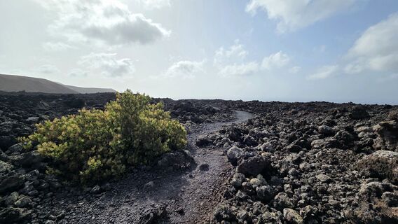 Tinajo, Canary Islands/Spain