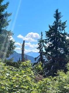 Photo de Marion Sperlich le long du parcours