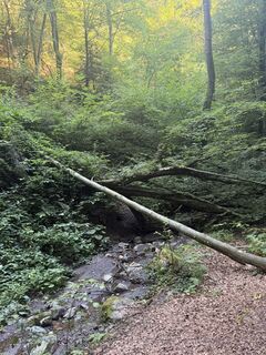 Photo de Nico ?️ le long du parcours