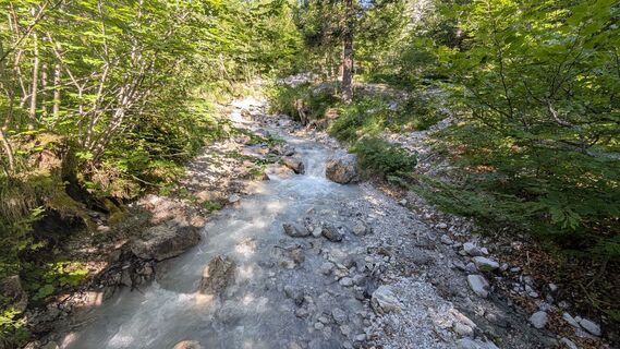 Fotografija s spletne strani Pim Visscher na poti