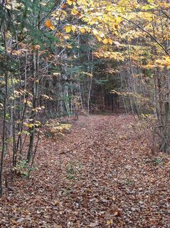 Photo de Bairebike le long du parcours