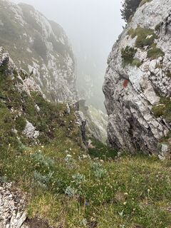 Foto von Michael 84 entlang der Tour