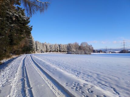 Photo de Peter Bauridl le long du parcours