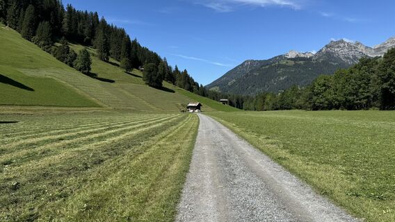 Fotografija s spletne strani peter_oe na poti