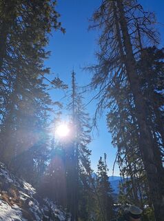 Fotografija s spletne strani Daniela König 1 na poti