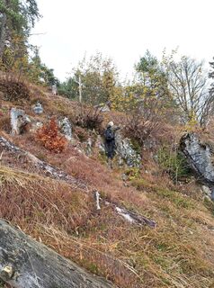 Foto van Daniela König 1 langs de tour