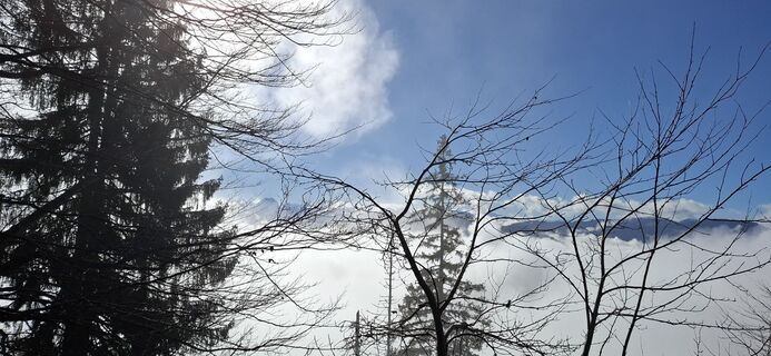 Fotografia z Horst Leo na trase