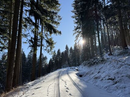 Photo de Norbert Herbig le long du parcours