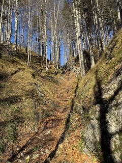 Foto da Denise Miller lungo il tour