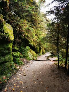 Foto von Grigori M. entlang der Tour