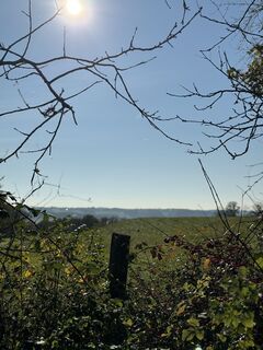 Fotografija s spletne strani Sonja Großmann na poti
