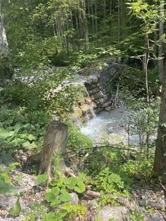 Fotografia z Corina Manuela Motisan na trase