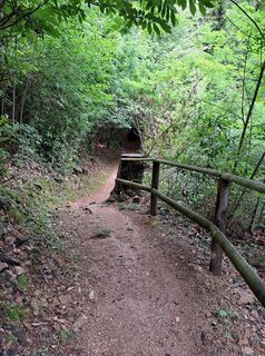 Zdjęcie z Doris Braun wzdłuż trasy