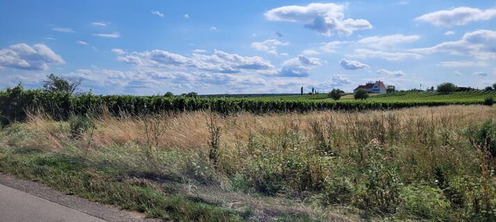 Foto fra Nicky undervejs på turen