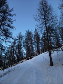 Fotografija s spletne strani Aner na poti