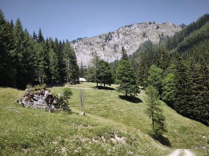 Photo de Wolfgang Steiner 7 le long du parcours