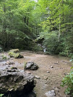 Foto da Babs Holz lungo il tour