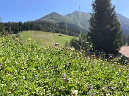 Fotografie z Mati Dziwisz na trase