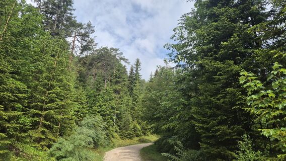 Foto von ThomasKruder entlang der Tour
