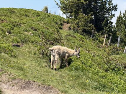 Zdjęcie z Jürgen Rinkau wzdłuż trasy