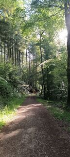 Foto von Megapaulevans entlang der Tour