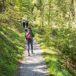 Wanderweg Lofer