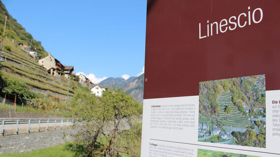 Linescio