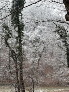 Fotografija s spletne strani Peter Bahn na poti