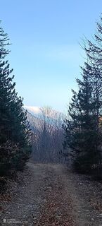 Photo de Bergpirat le long du parcours