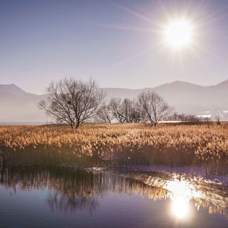 Winterzauber am Tegernsee