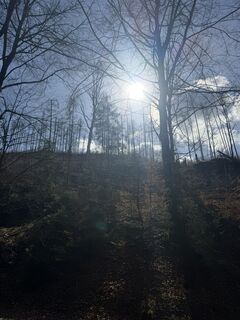 Foto von Vladenka123 entlang der Tour