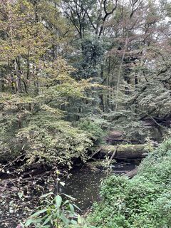 Foto von simeon krapp entlang der Tour