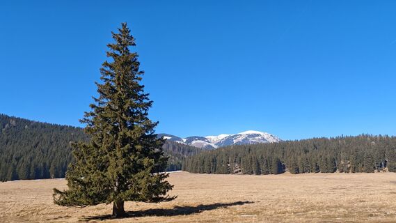 Foto von Bergpirat entlang der Tour