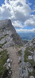 Fotografija s spletne strani Richard Seba na poti