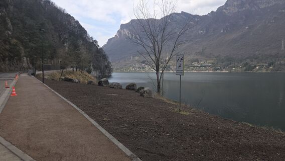 Fotografija s spletne strani Marco Colbrelli na poti