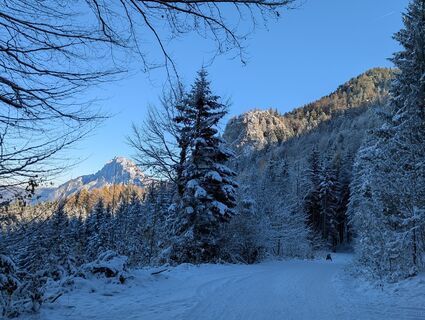 Fotografija s spletne strani Rithe na poti