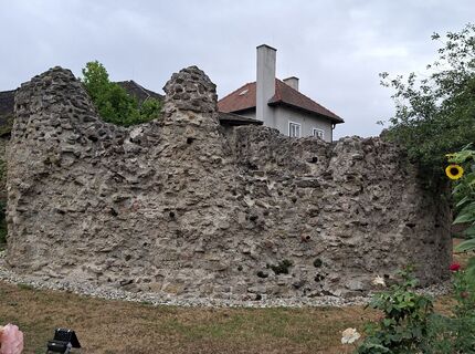 Foto von Mangolein entlang der Tour